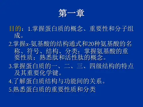 生物化学—蛋白质的结构与功能