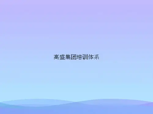 高盛集团培训体系2021优秀PPT