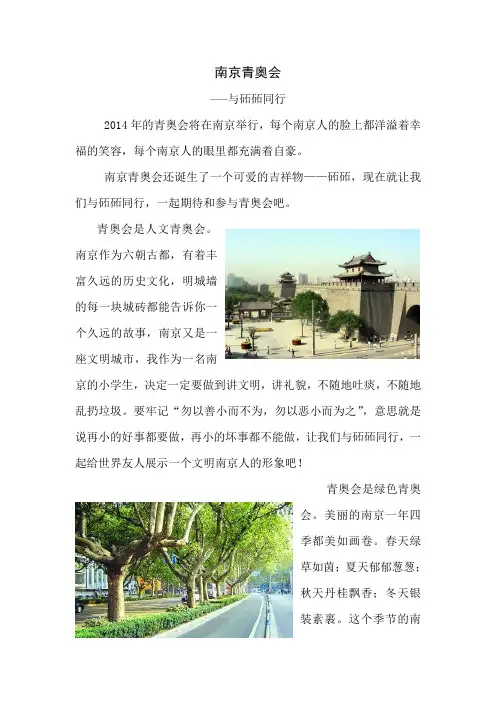 南京青奥会——与砳砳同行