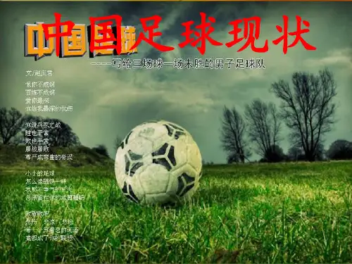 中国足球现状PPT课件