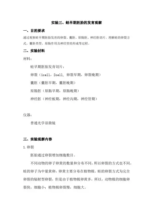 实验三、蛙早期胚胎的发育观察