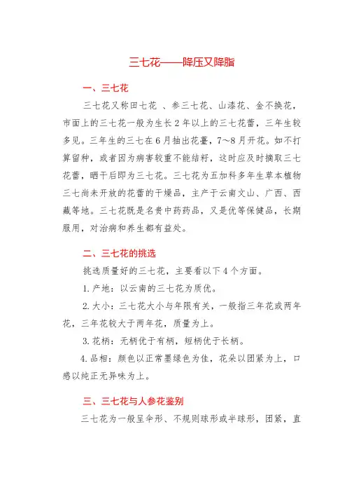 三七花——降压又降脂