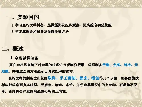 金相制样与显微观察ppt课件