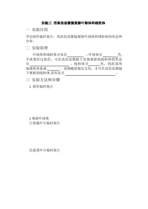 线粒体和叶绿体实验报告