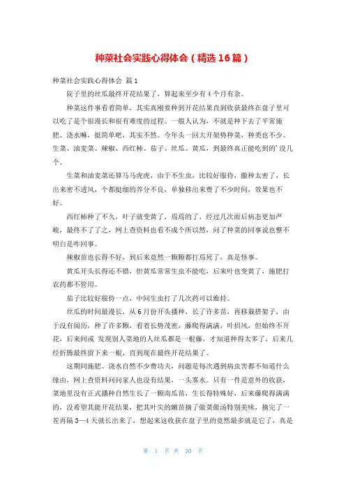 种菜社会实践心得体会(精选16篇)