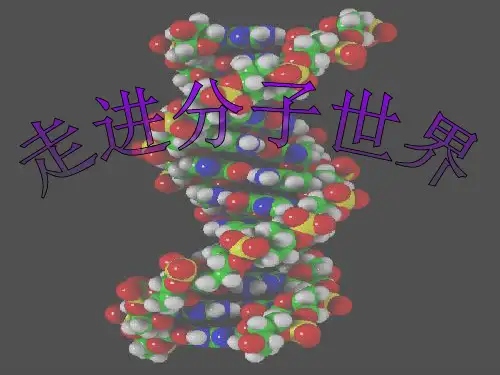 物理八年级苏科版精品课件第一节 走进分子世界 (共29张PPT)