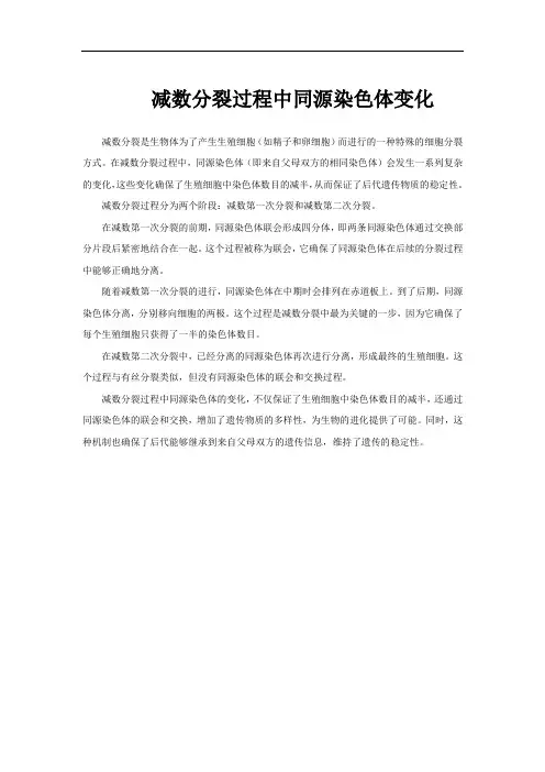 减数分裂过程中同源染色体变化