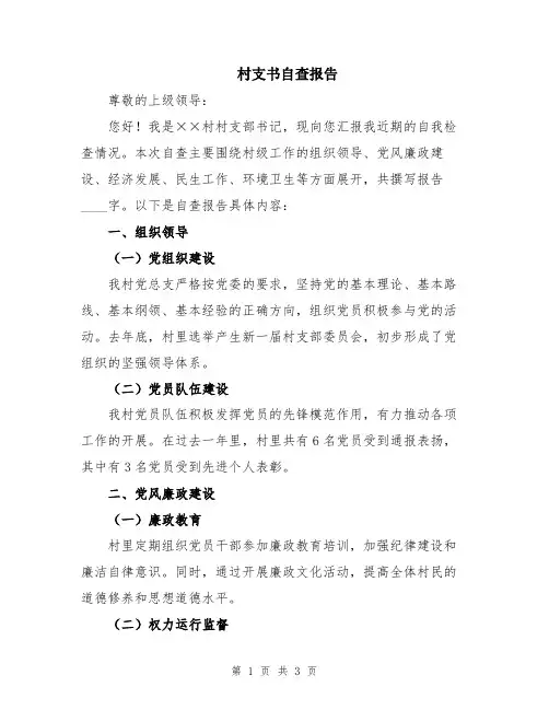 村支书自查报告