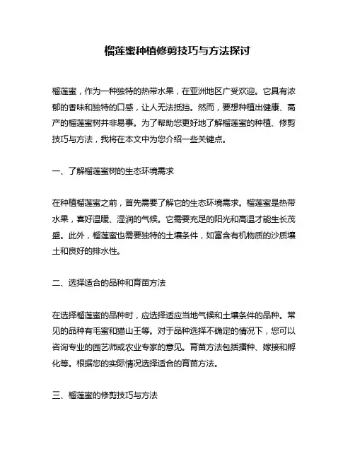 榴莲蜜种植修剪技巧与方法探讨
