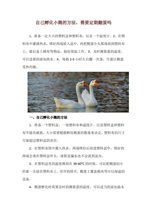 自己孵化小鹅的方法,需要定期翻蛋吗