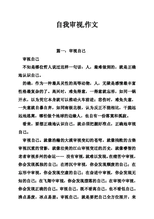 自我审视,作文