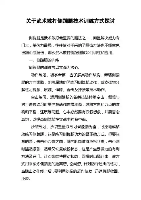 关于武术散打侧踹腿技术训练方式探讨