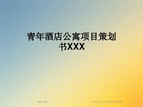 青年酒店公寓项目策划书XXX