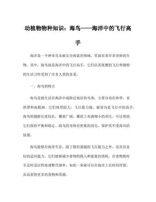 动植物物种知识：海鸟——海洋中的飞行高手