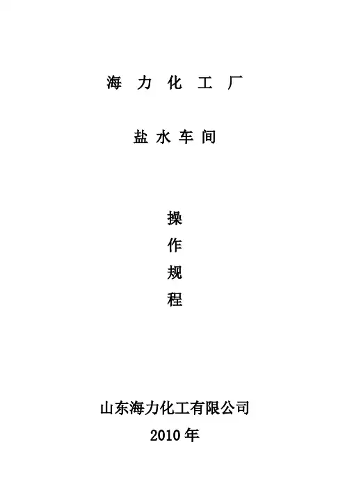 大学毕设论文__化工厂盐水车间操作规程