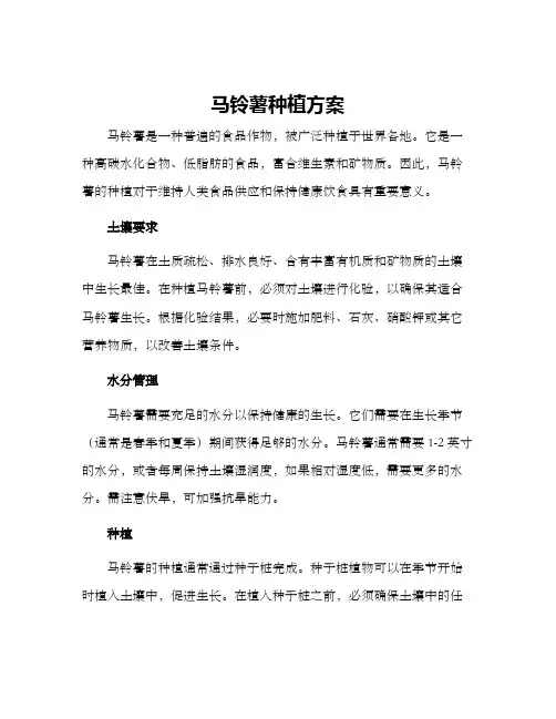 马铃薯种植方案