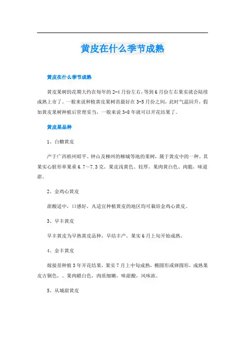 黄皮在什么季节成熟