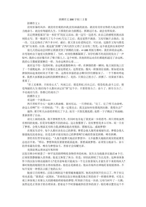 拼搏作文800字初三5篇
