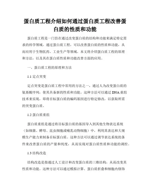 蛋白质工程介绍如何通过蛋白质工程改善蛋白质的性质和功能