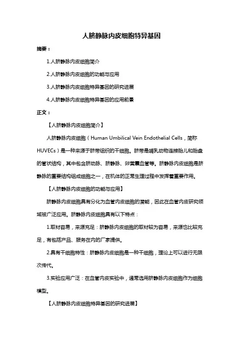 人脐静脉内皮细胞特异基因