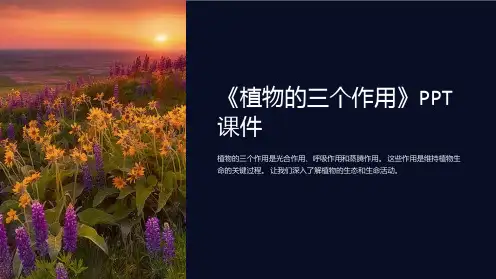 《植物的三个作用》课件