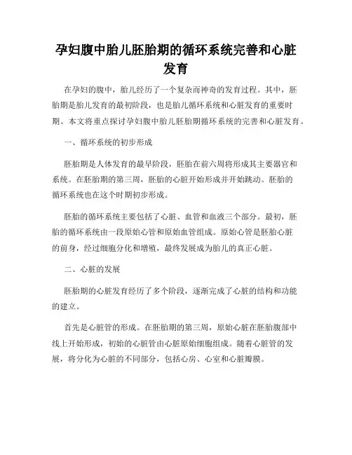 孕妇腹中胎儿胚胎期的循环系统完善和心脏发育