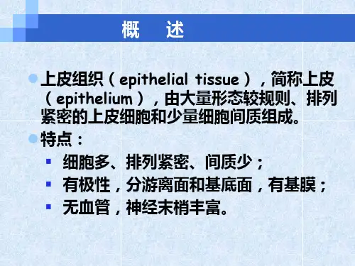 第二章、上皮组织