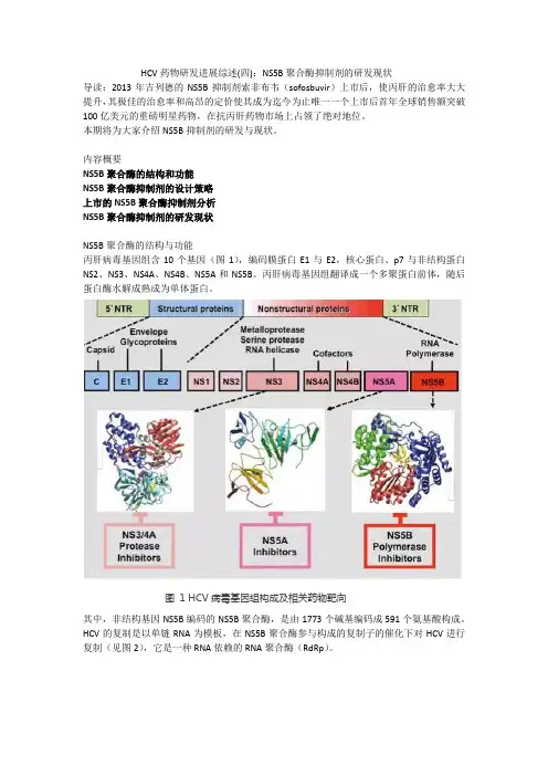 HCV药物研发进展综述(四)：NS5B聚合酶抑制剂的研发现状