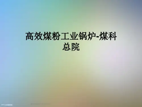 高效煤粉工业锅炉-煤科总院