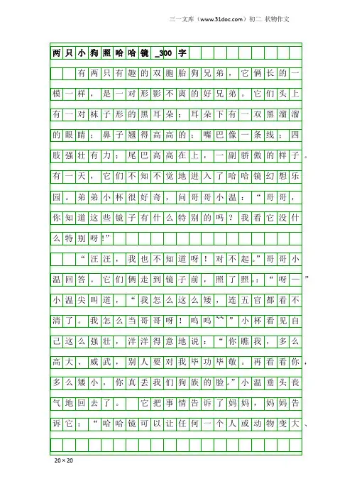 初二状物作文：两只小狗照哈哈镜_300字