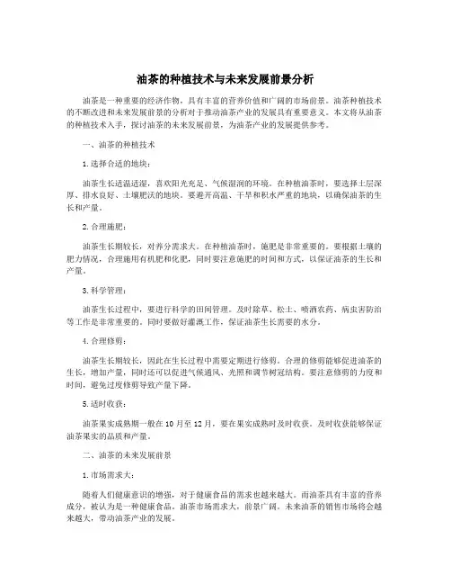 油茶的种植技术与未来发展前景分析