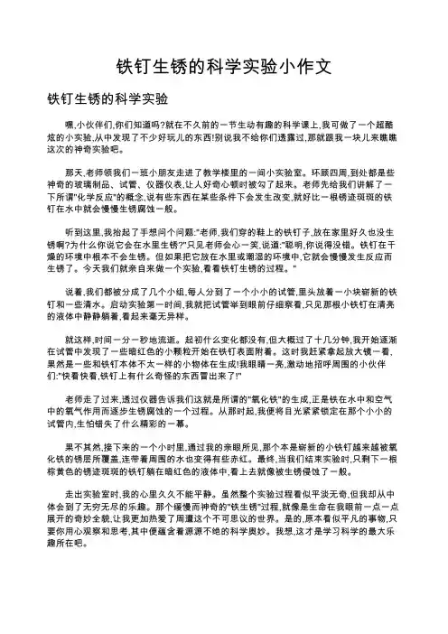 铁钉生锈的科学实验小作文
