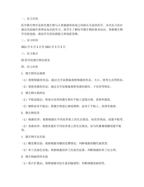 医学微生物实习报告