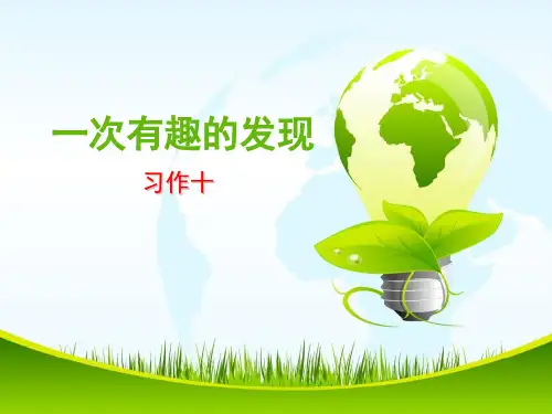《有趣的发现》作文指导课件 