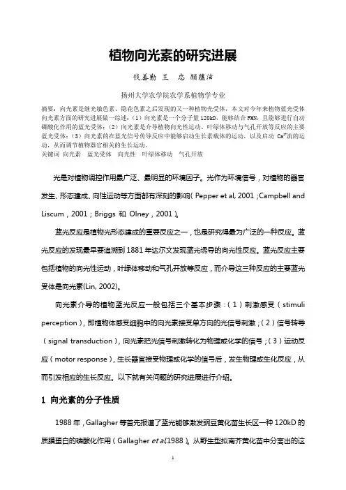 植物蓝光反应的研究进展