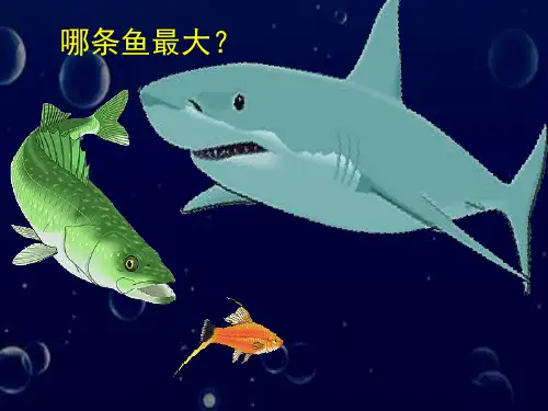 (一上)美术优秀课件- 谁画的鱼最大｜人美版1 PPT(15页)