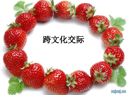 跨文化交际ppt课件