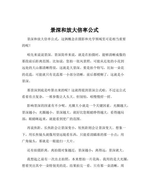 景深和放大倍率公式