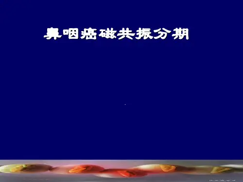 鼻咽癌磁共振分期及其影像