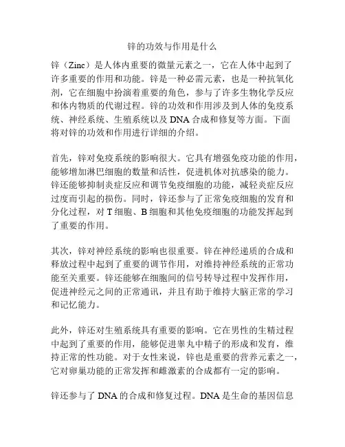 锌的功效与作用是什么