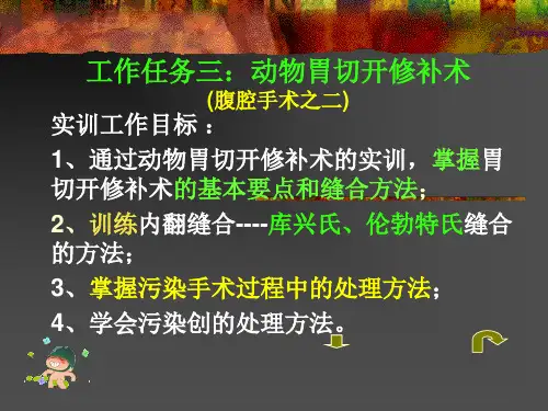 实训四 胃切开术.