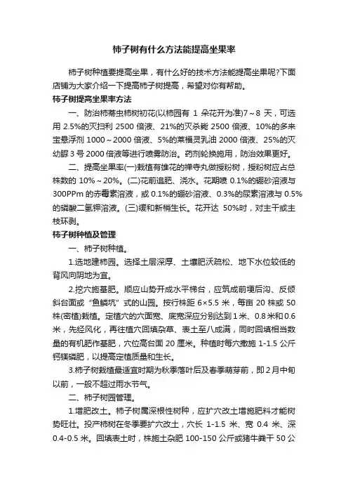 柿子树有什么方法能提高坐果率
