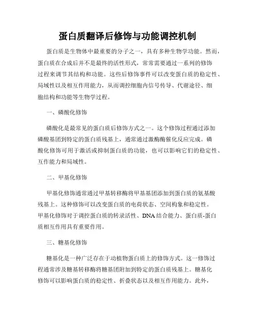 蛋白质翻译后修饰与功能调控机制