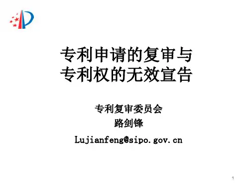 专利复审无效程序_路剑锋