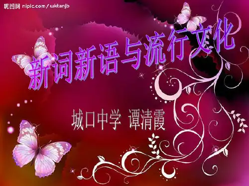 新词新语与流行文化共52页PPT资料