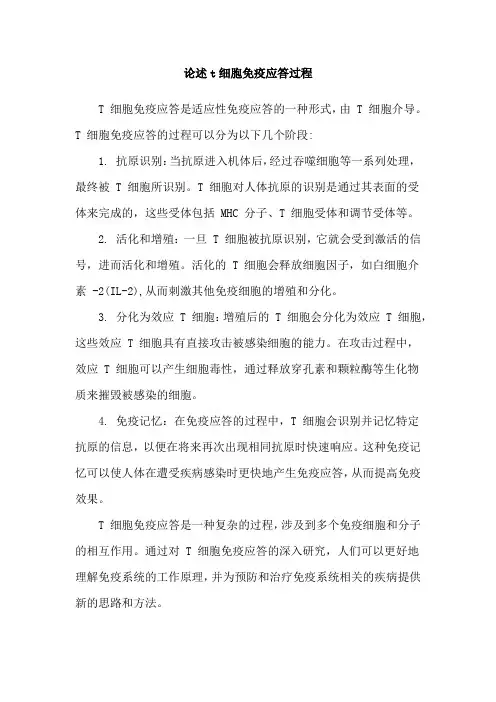 论述t细胞免疫应答过程