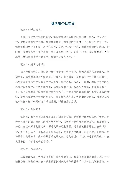 镜头组合法范文