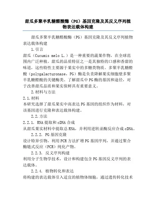 甜瓜多聚半乳糖醛酸酶(PG)基因克隆及其反义序列植物表达载体构建