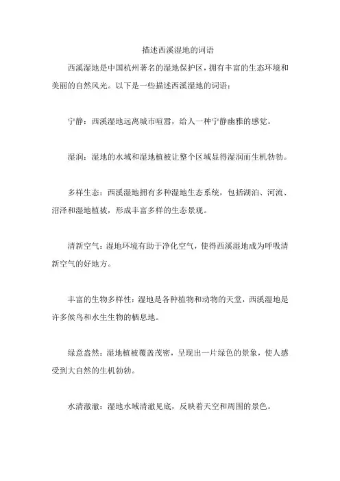描述西溪湿地的词语