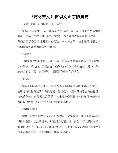 中药材辨别如何识别正宗的黄连